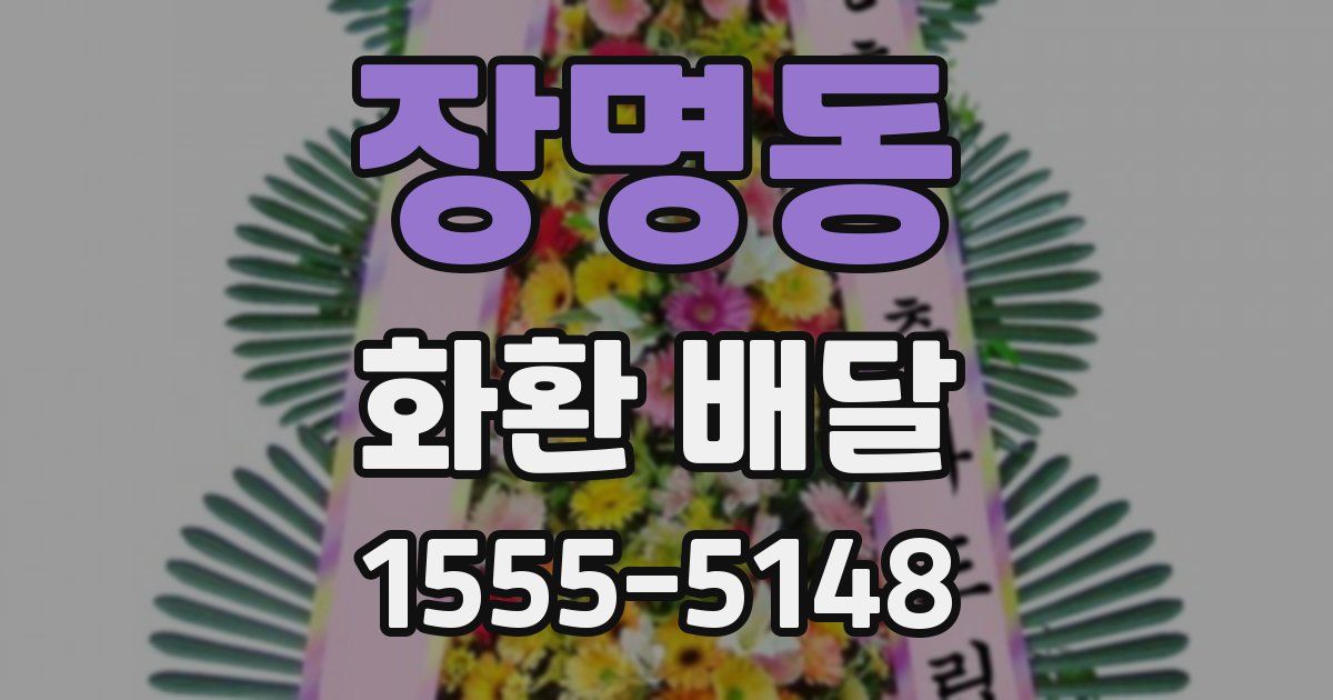 장명동 화환 배달
