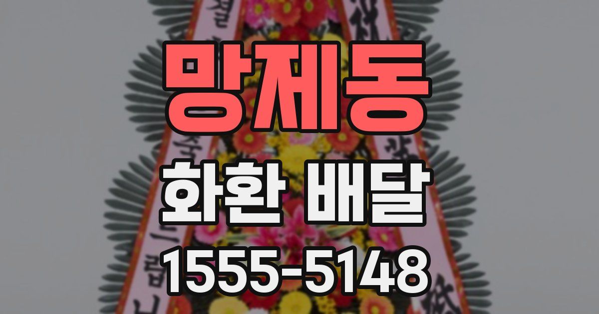 망제동 화환 배달
