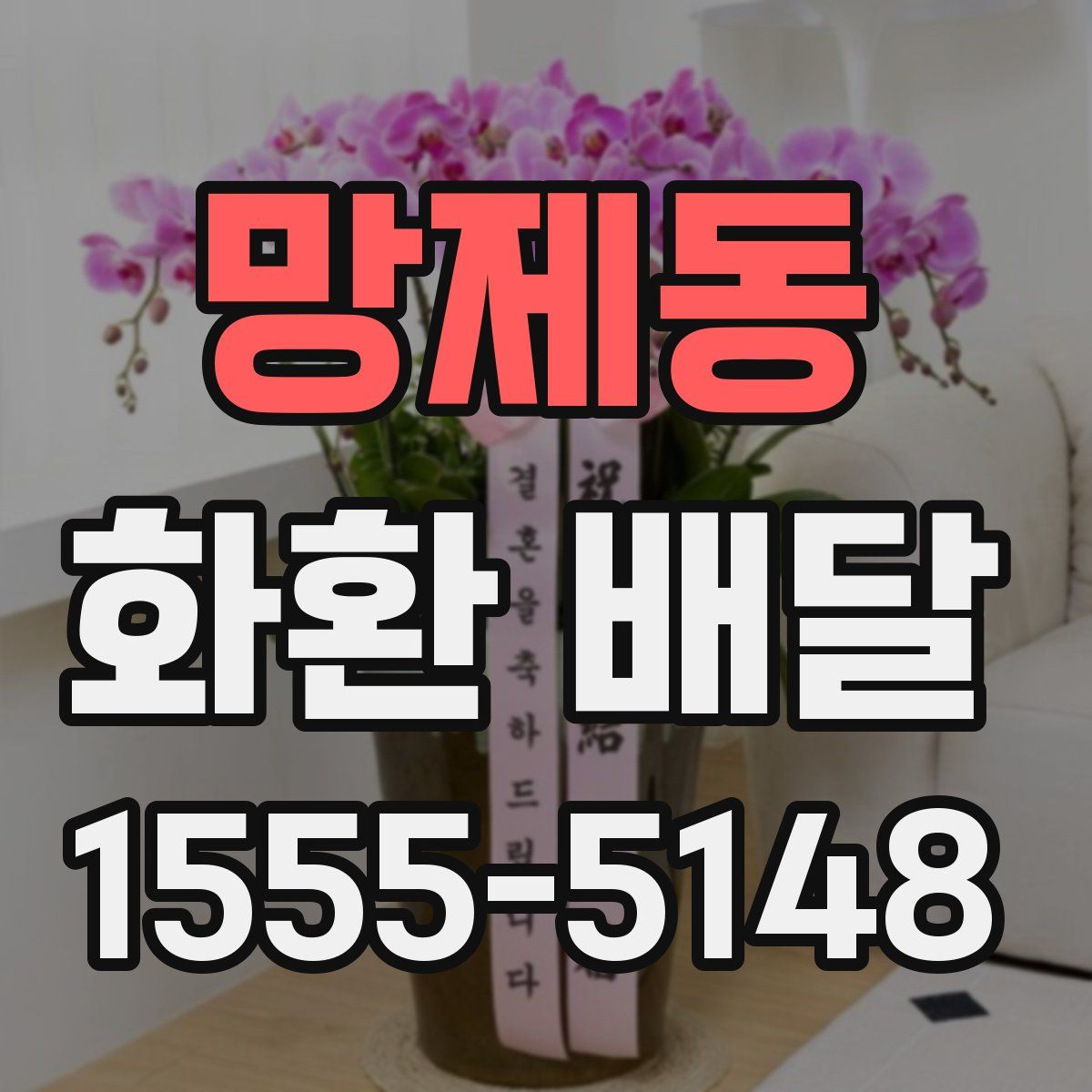망제동 화환 배달