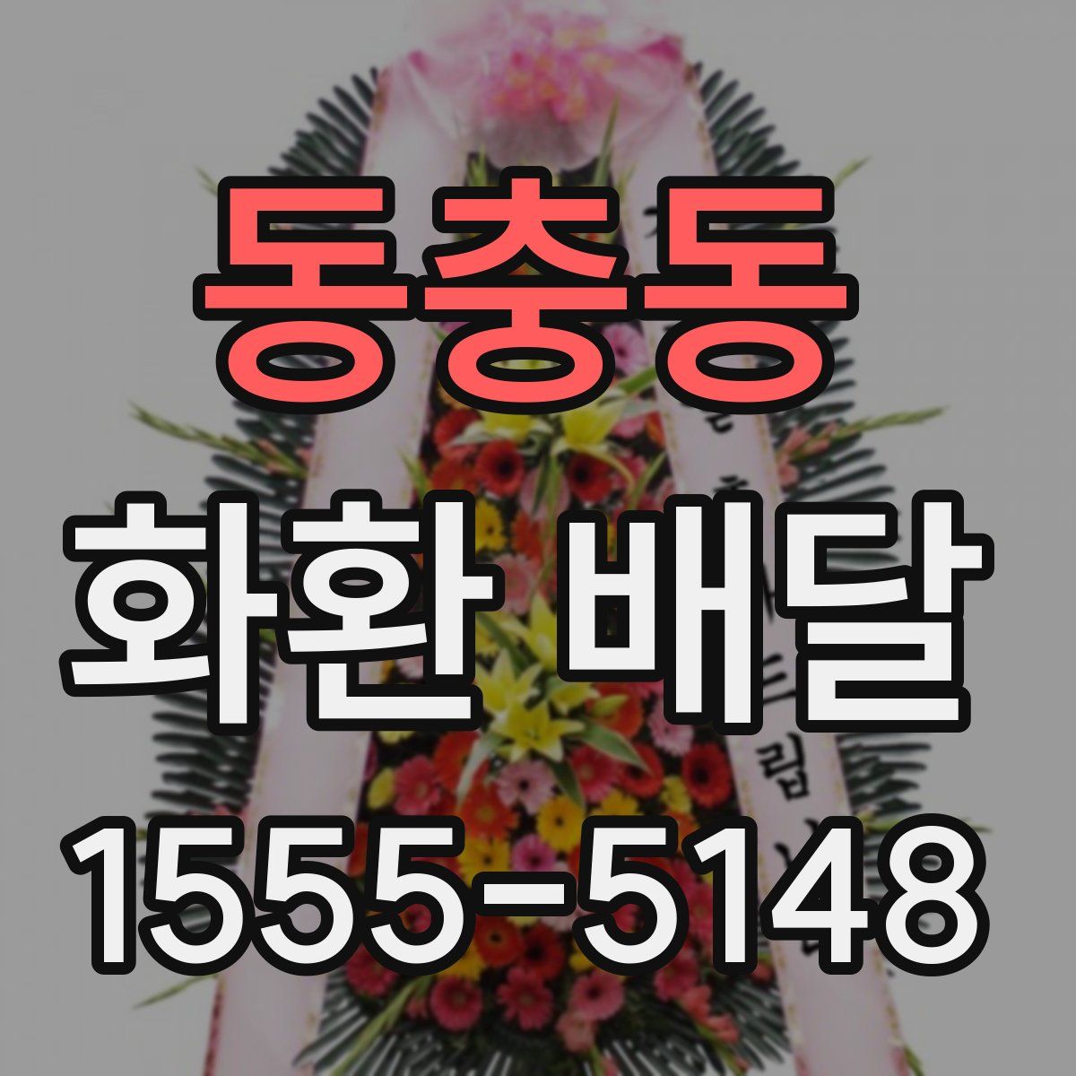 동충동 화환 배달