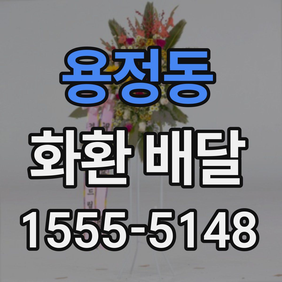 용정동 화환 배달