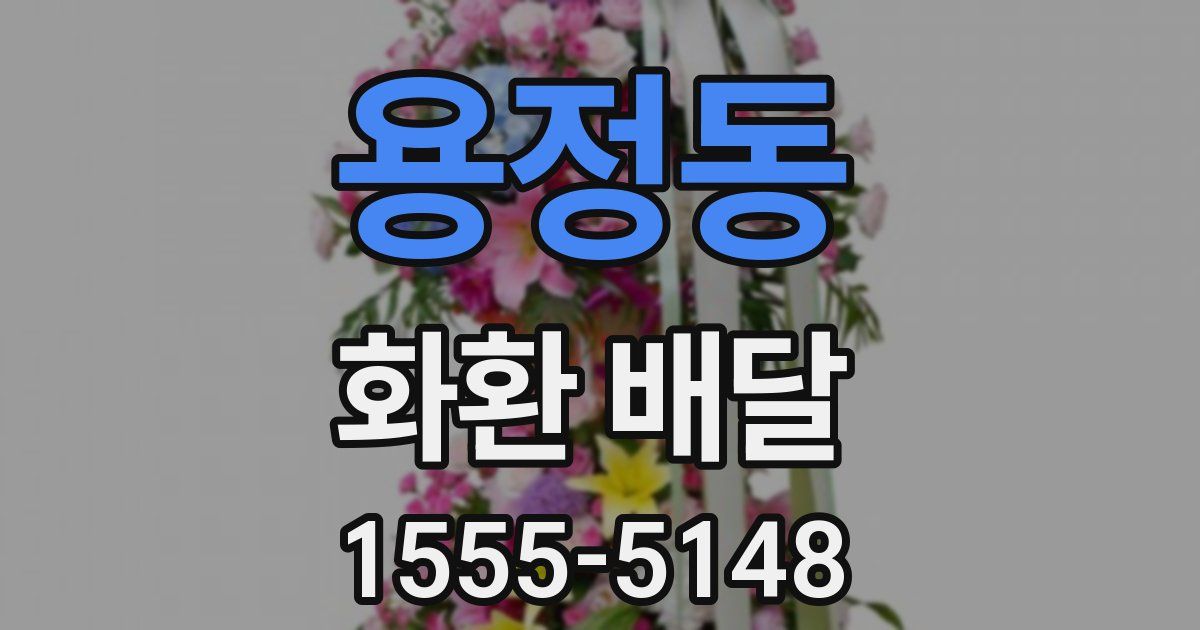 용정동 화환 배달