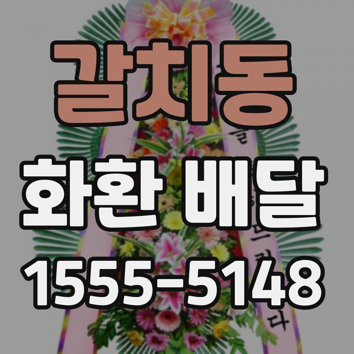 갈치동 화환 배달
