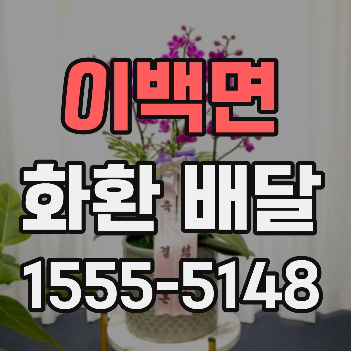 이백면 화환 배달