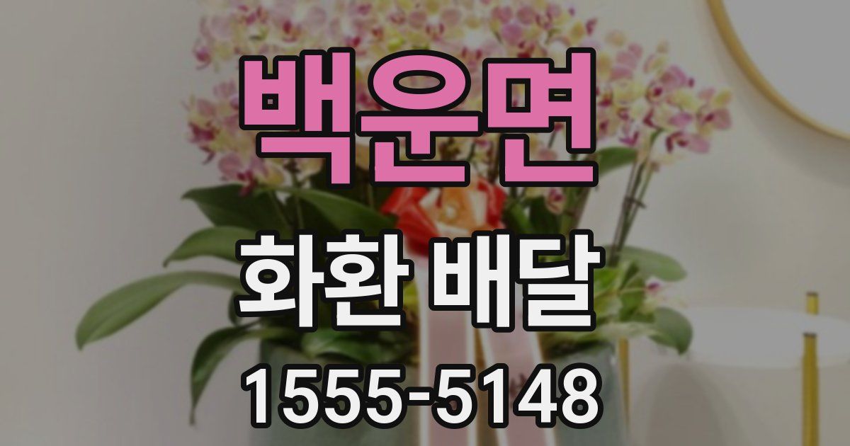 백운면 화환 배달