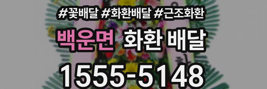 백운면 화환 배달