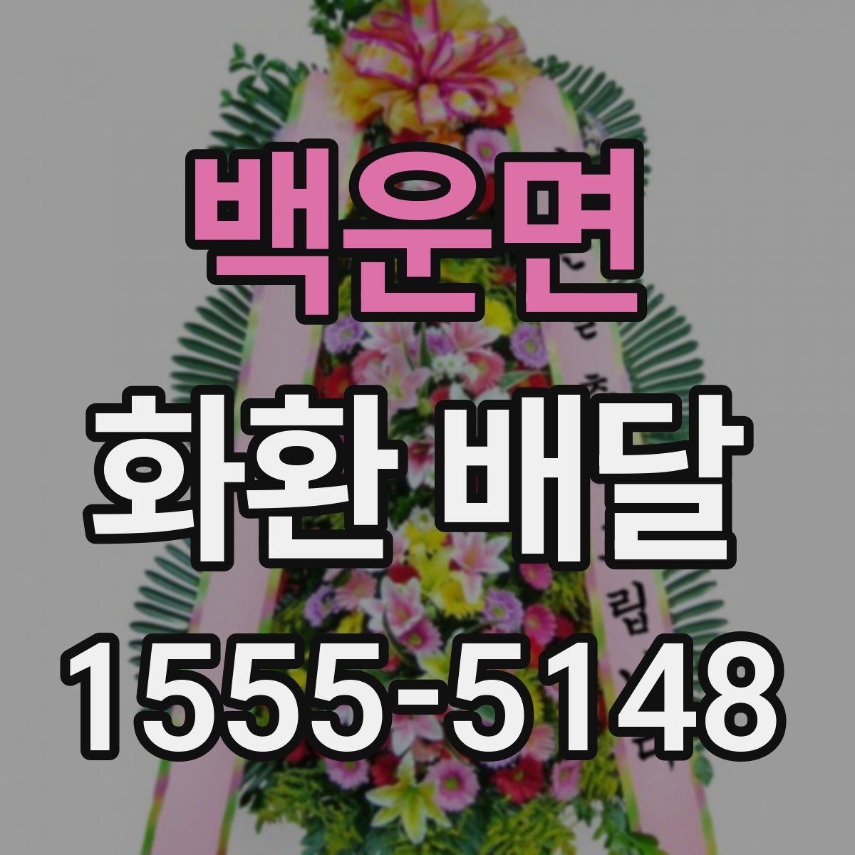 백운면 화환 배달