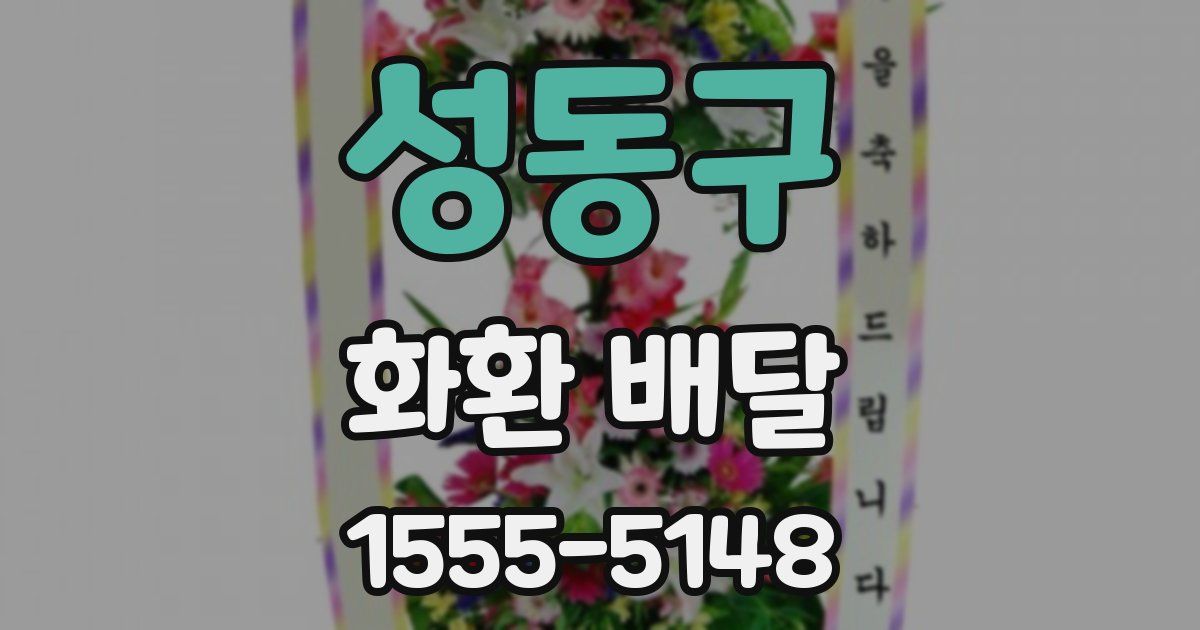 성동구 화환 배달
