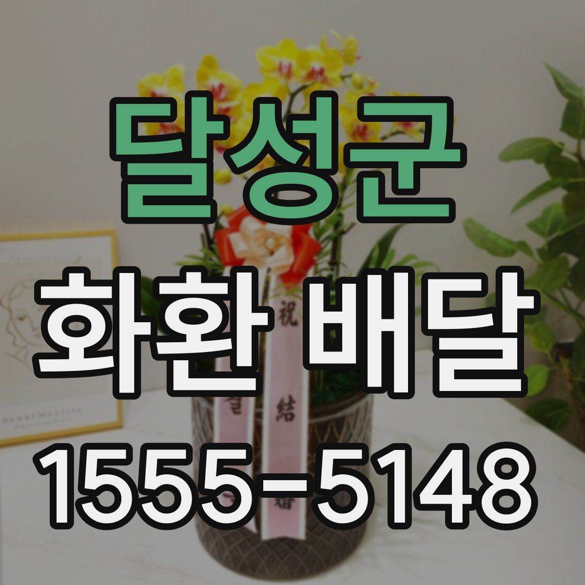 달성군 화환 배달
