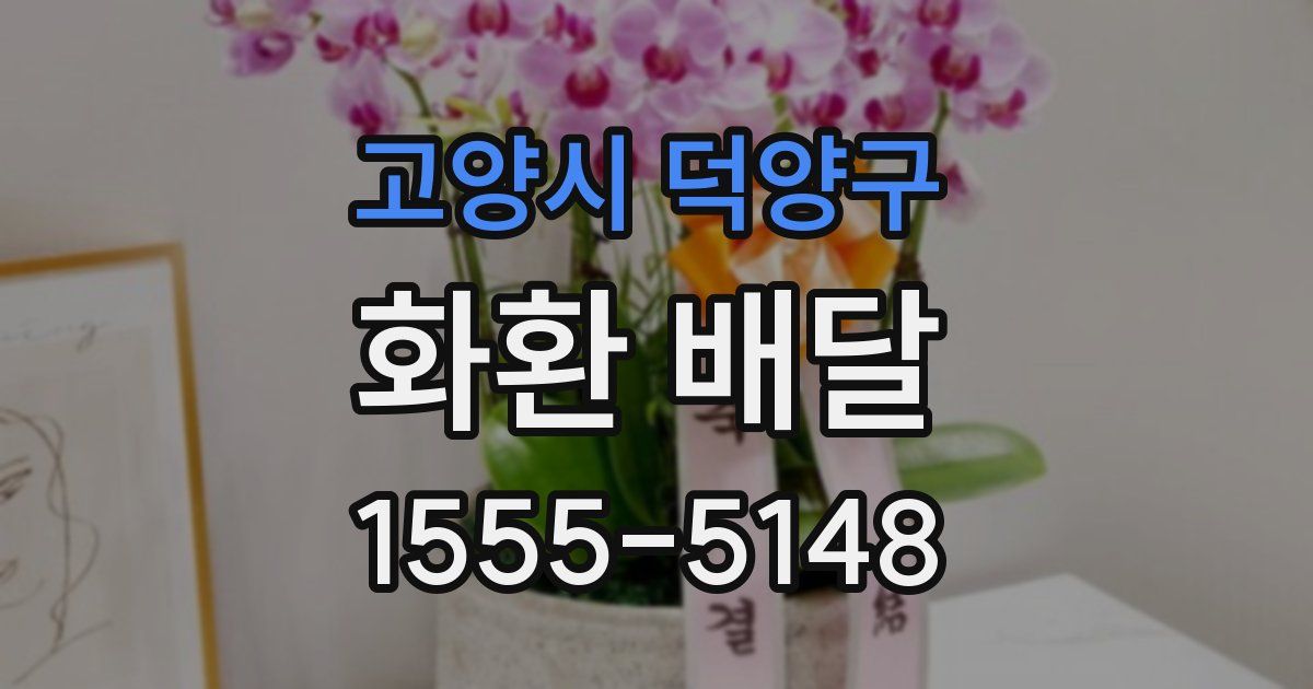 고양시 덕양구 화환 배달