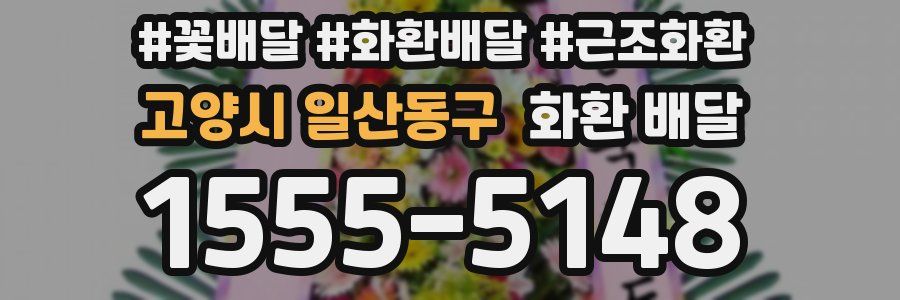 고양시 일산동구 화환 배달