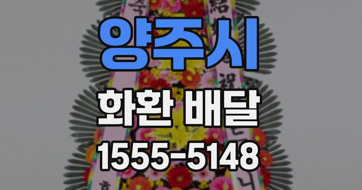 양주시 화환 배달