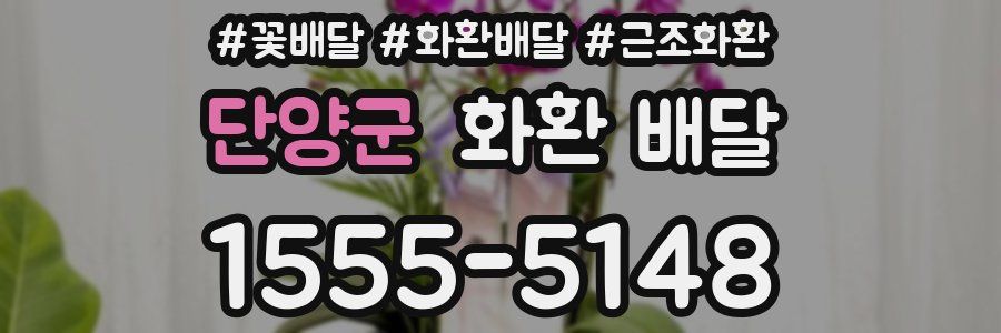 단양군 화환 배달
