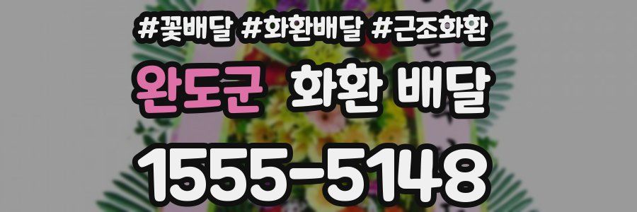 완도군 화환 배달