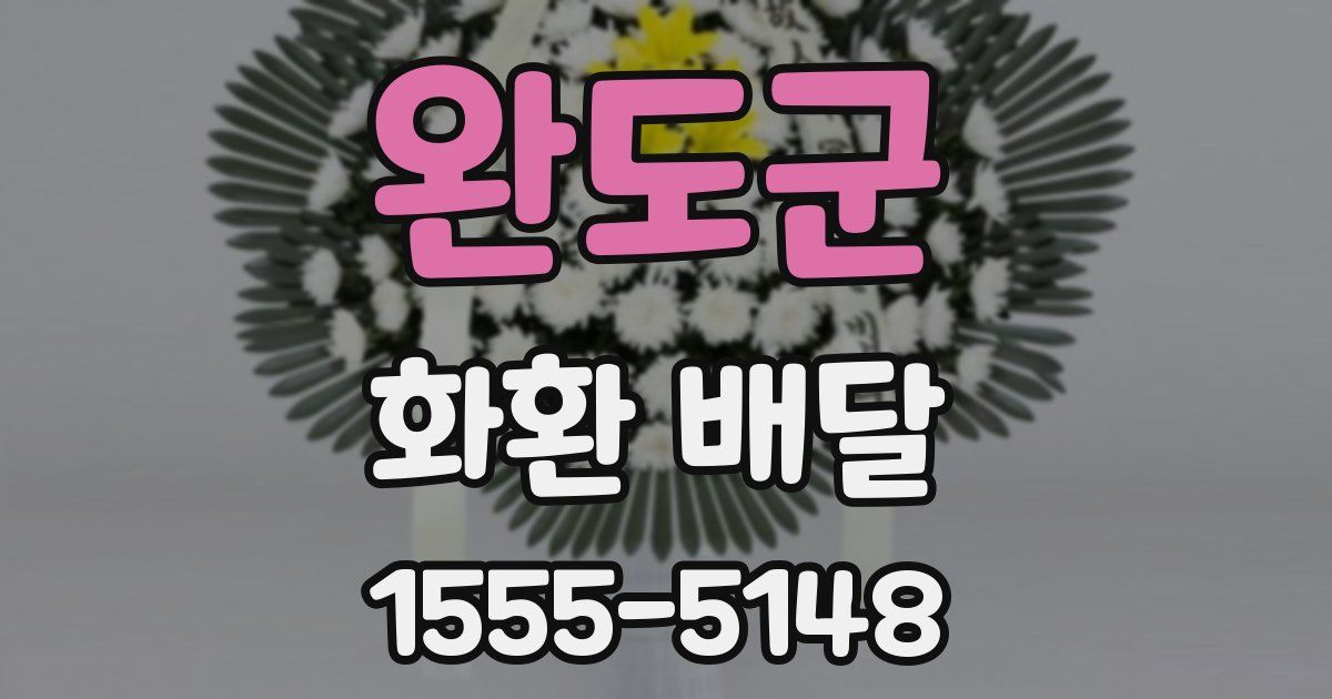 완도군 화환 배달