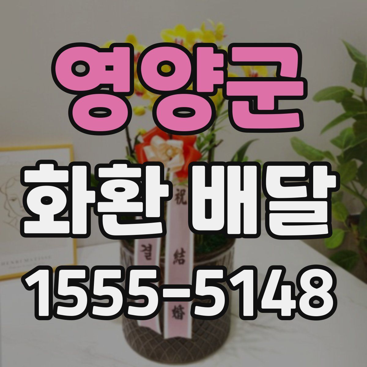 영양군 화환 배달