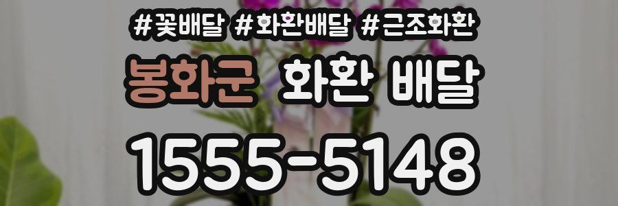 봉화군 화환 배달