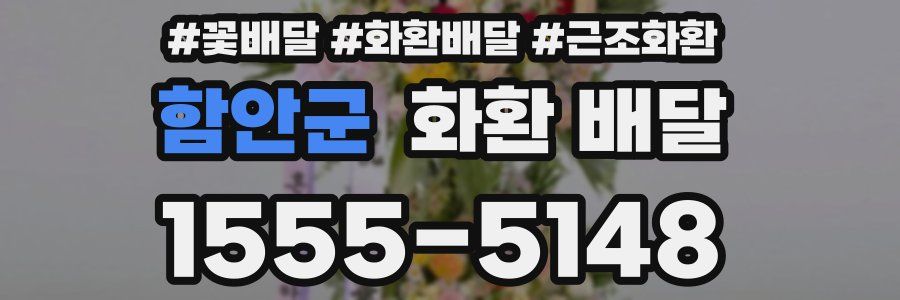 함안군 화환 배달