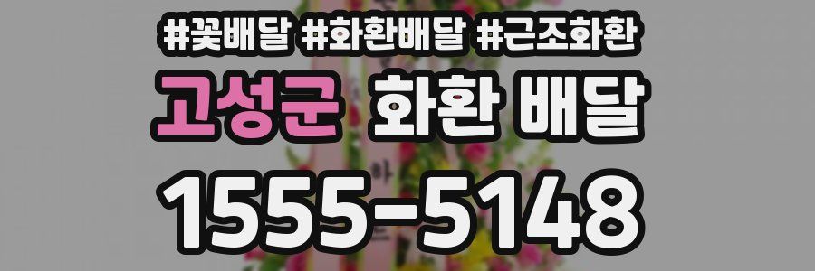 고성군 화환 배달