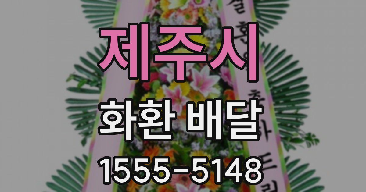 제주시 화환 배달