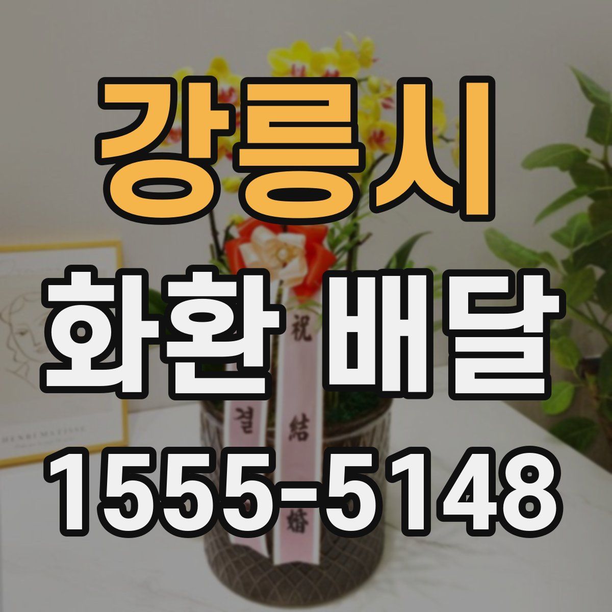 강릉시 화환 배달