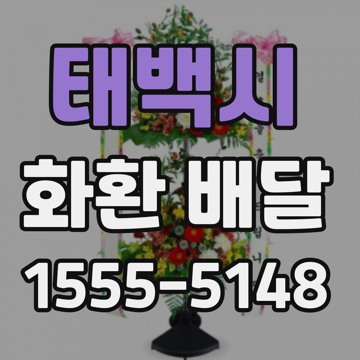 태백시 화환 배달