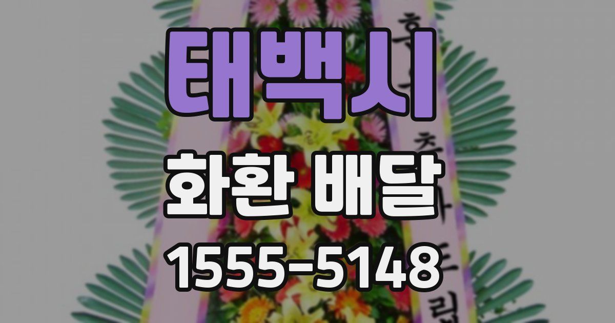 태백시 화환 배달