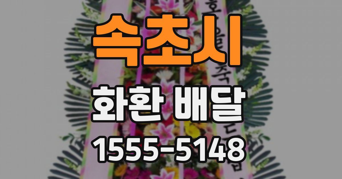 속초시 화환 배달