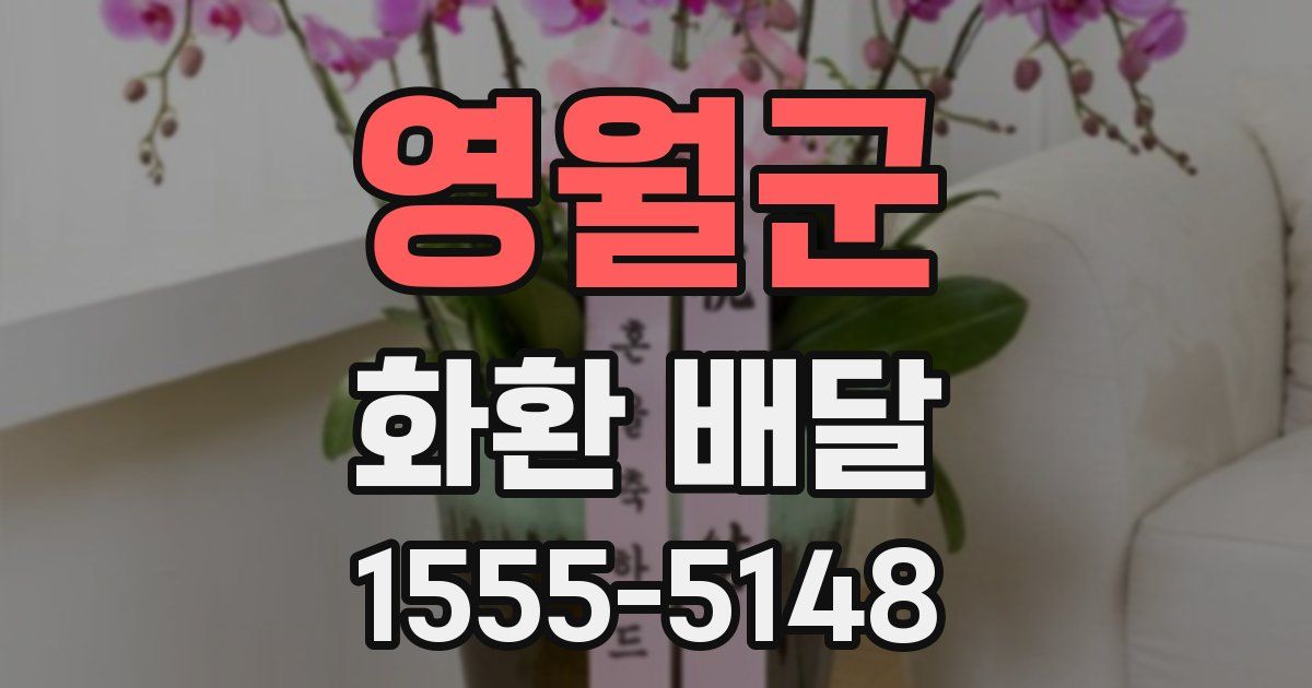 영월군 화환 배달