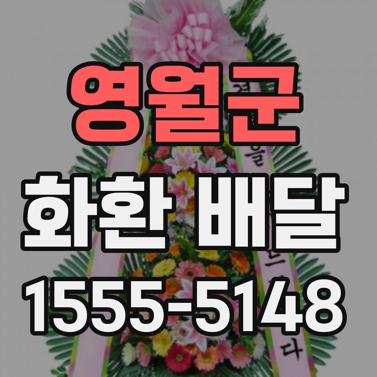 영월군 화환 배달