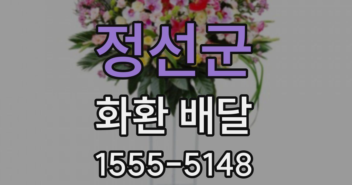정선군 화환 배달
