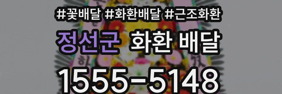 정선군 화환 배달