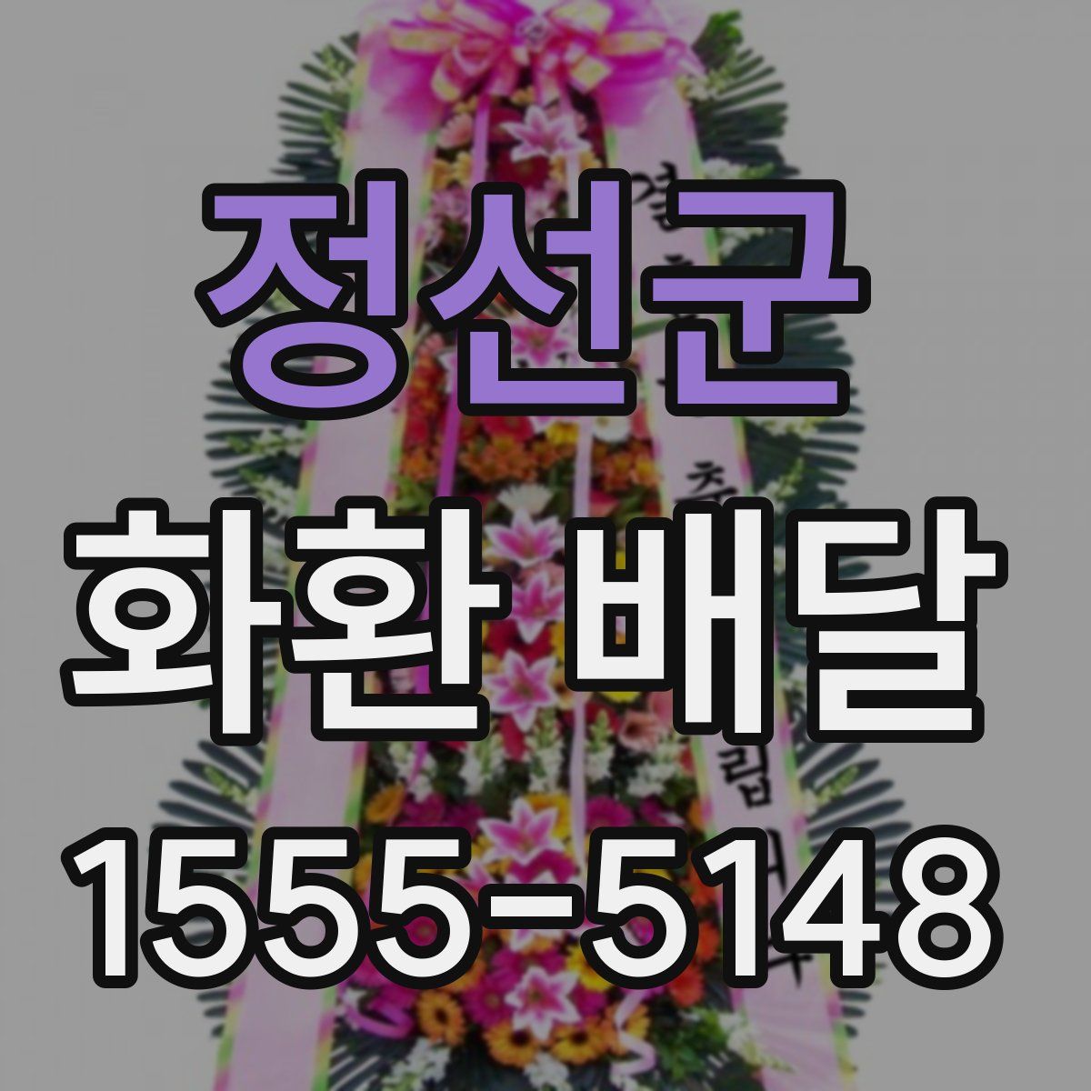 정선군 화환 배달