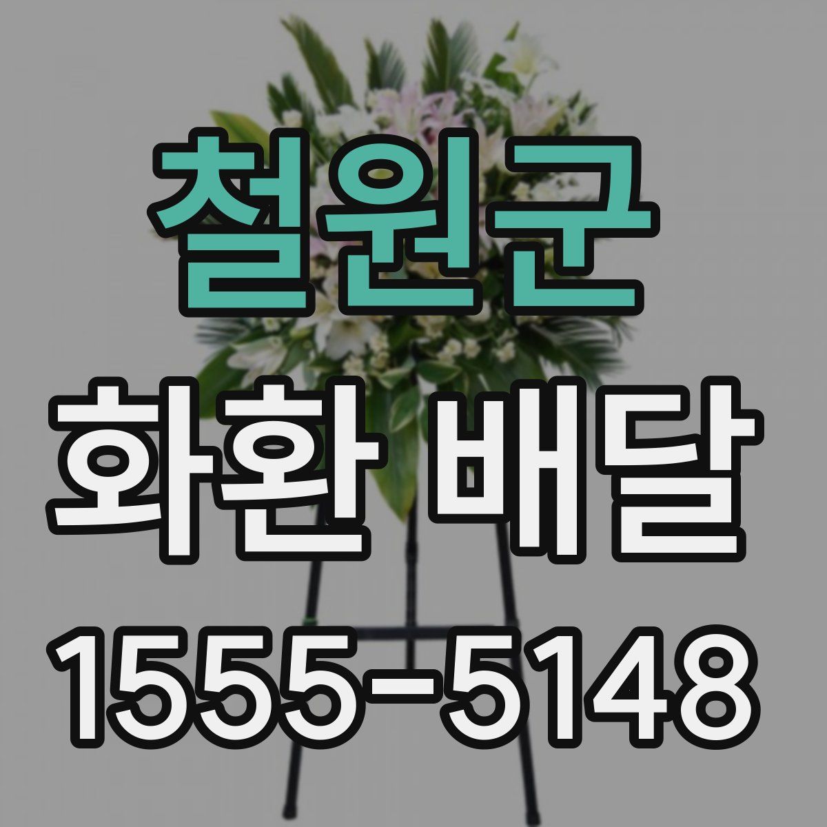 철원군 화환 배달