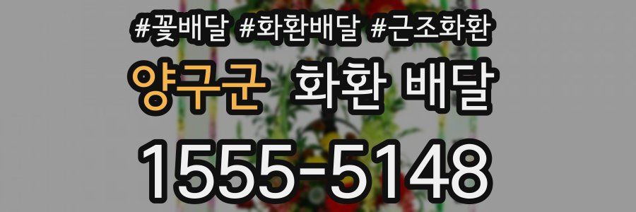 양구군 화환 배달
