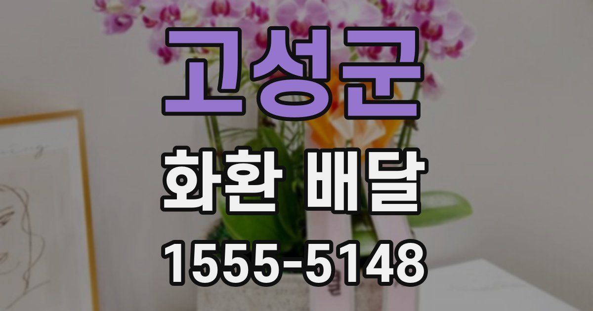 고성군 화환 배달