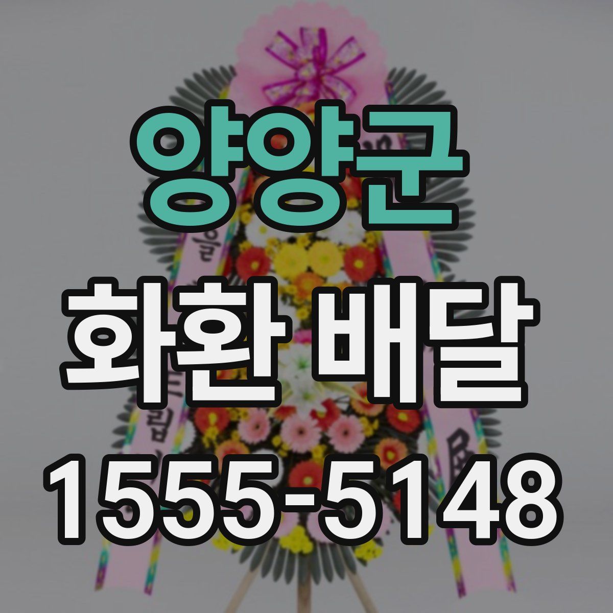 양양군 화환 배달