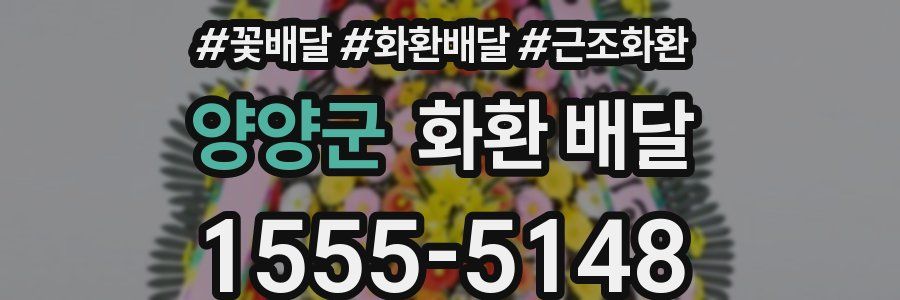 양양군 화환 배달