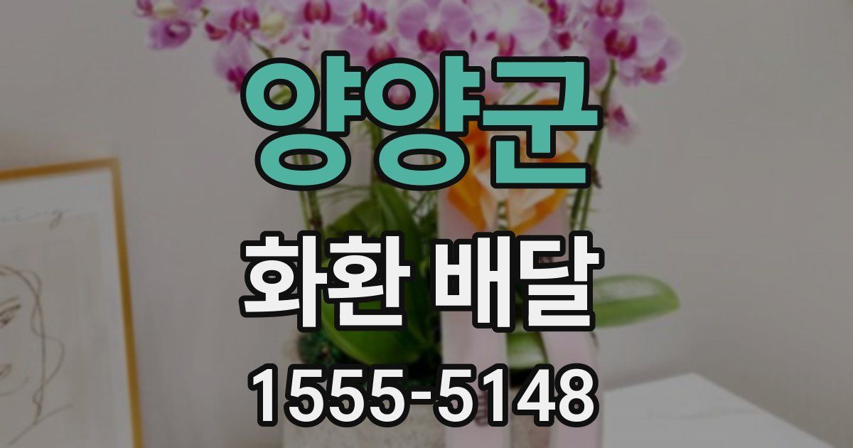 양양군 화환 배달