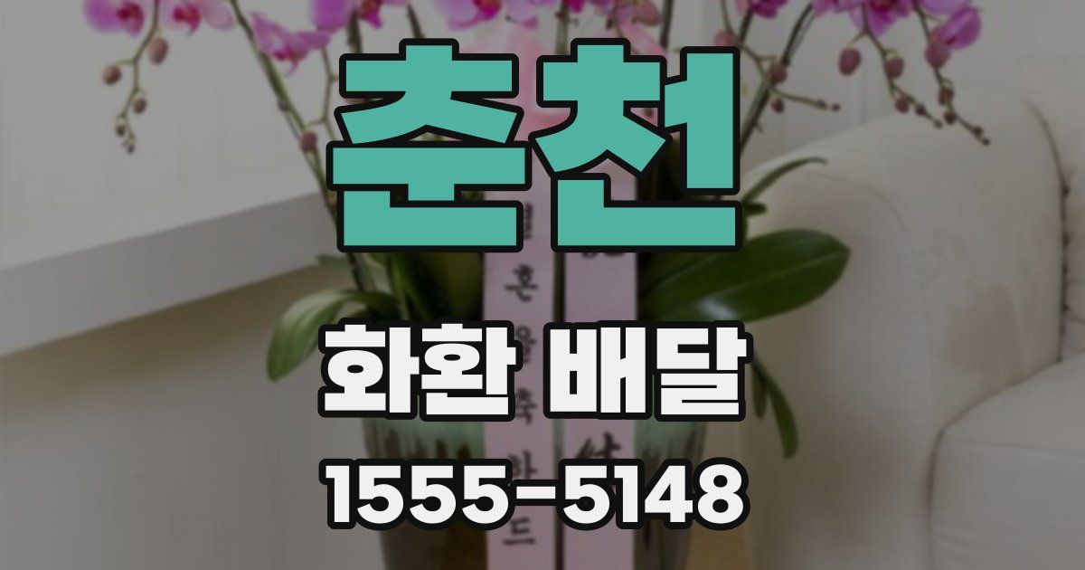 춘천 화환 배달