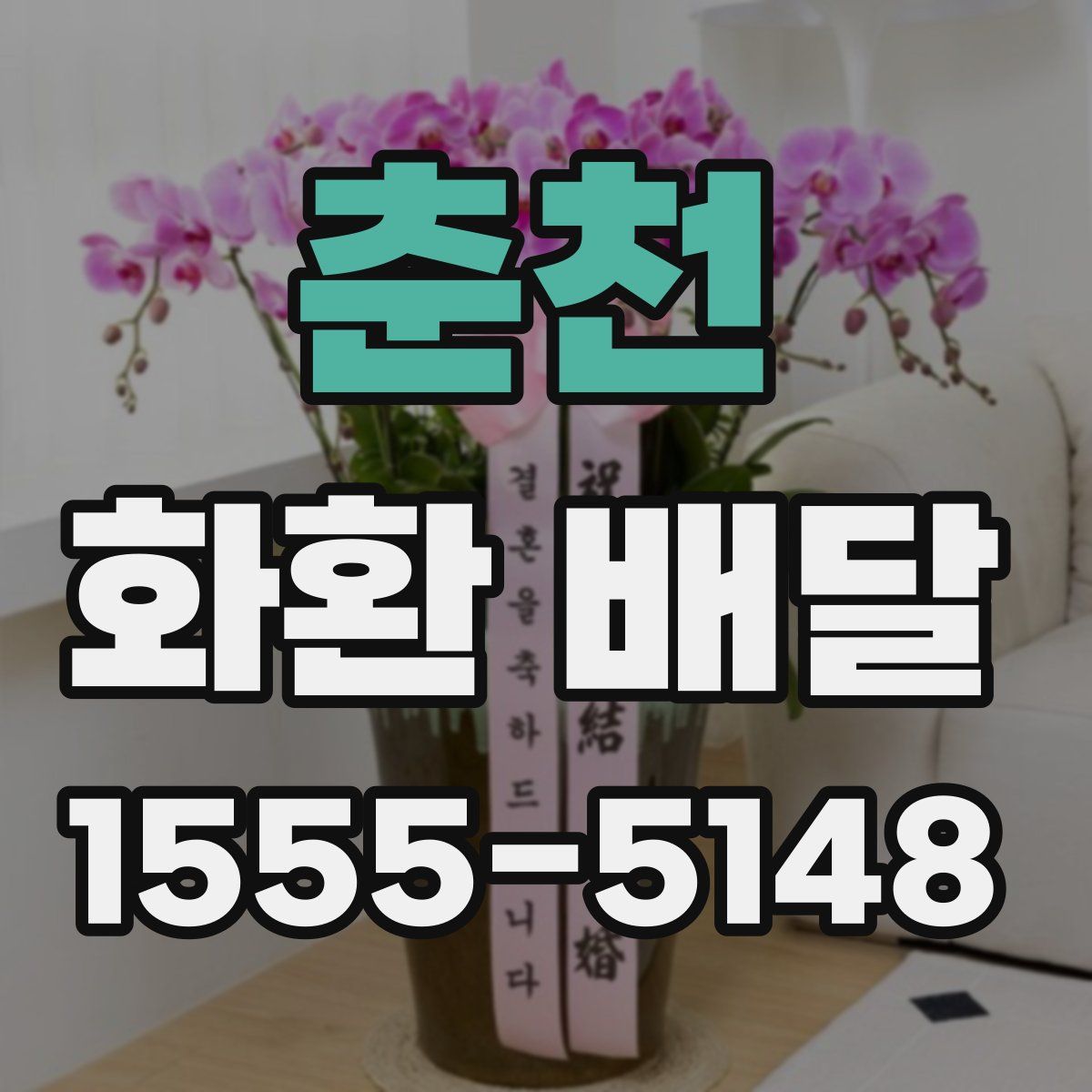 춘천 화환 배달