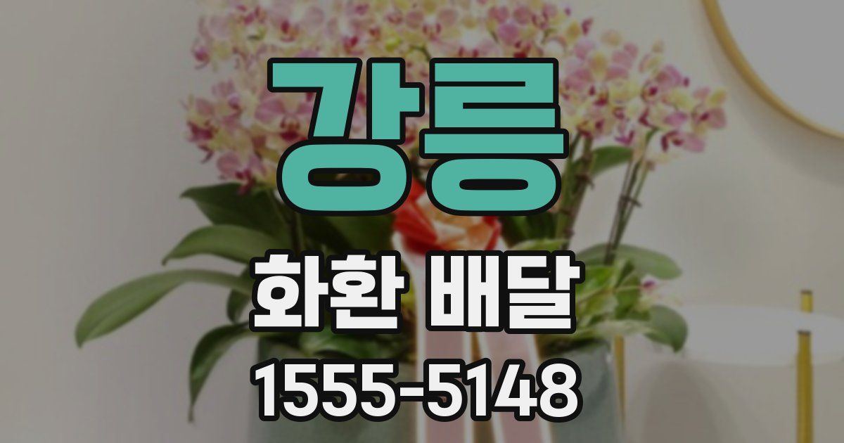 강릉 화환 배달