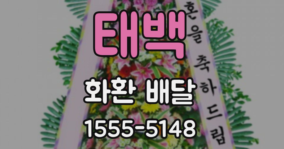 태백 화환 배달