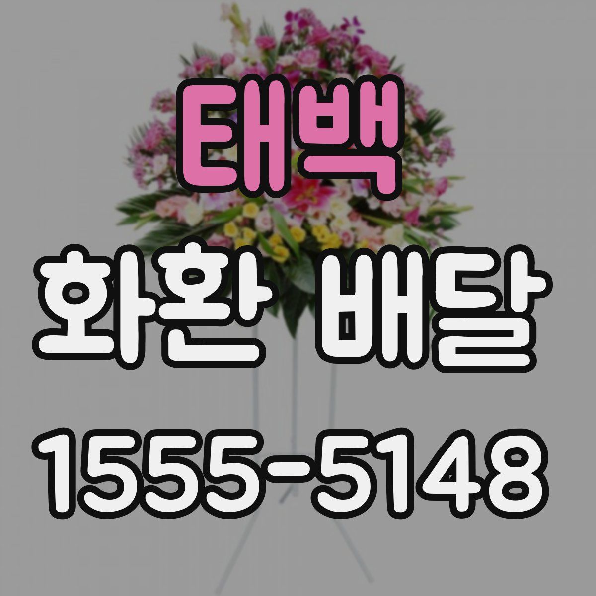 태백 화환 배달