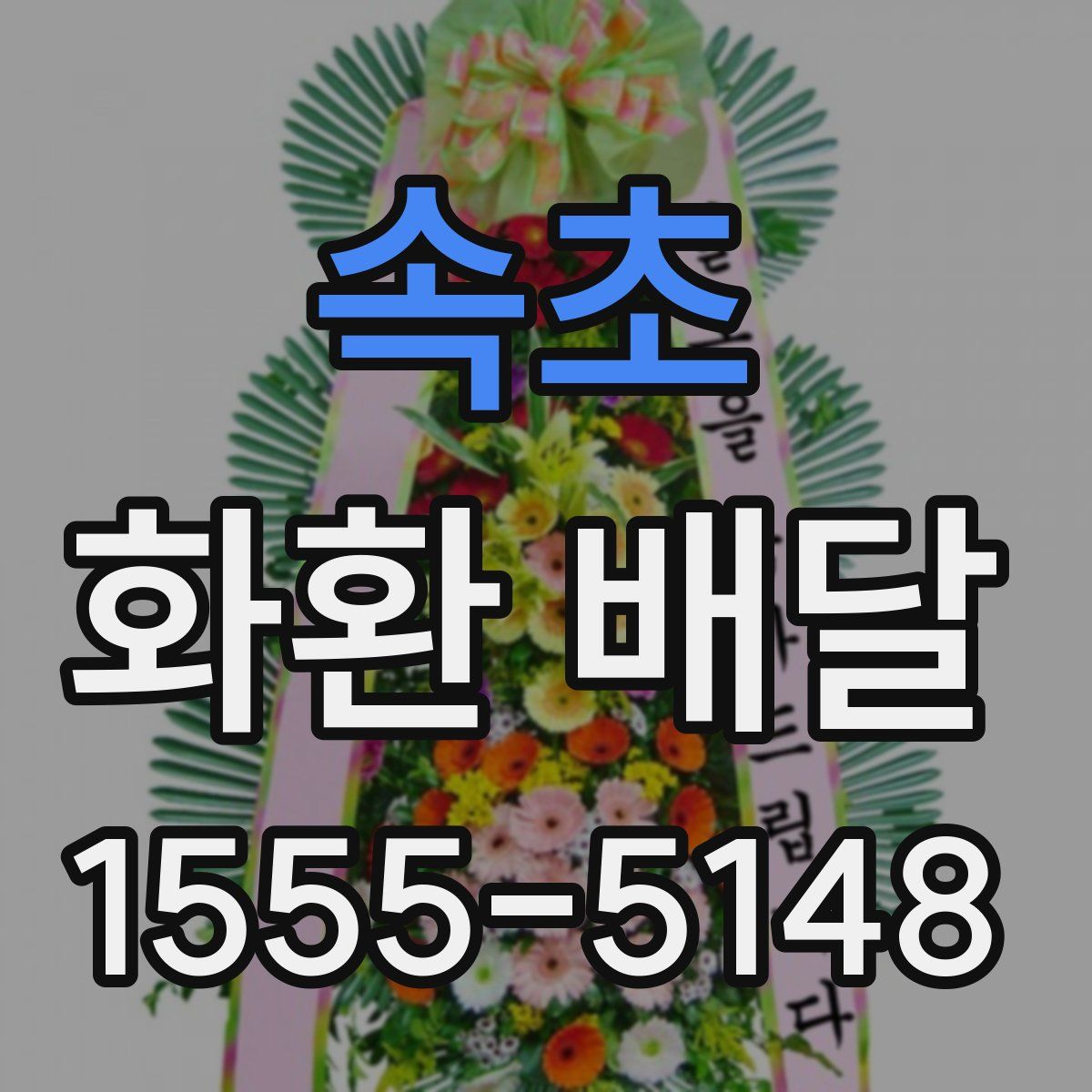속초 화환 배달