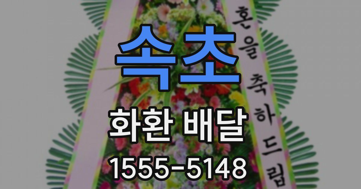 속초 화환 배달