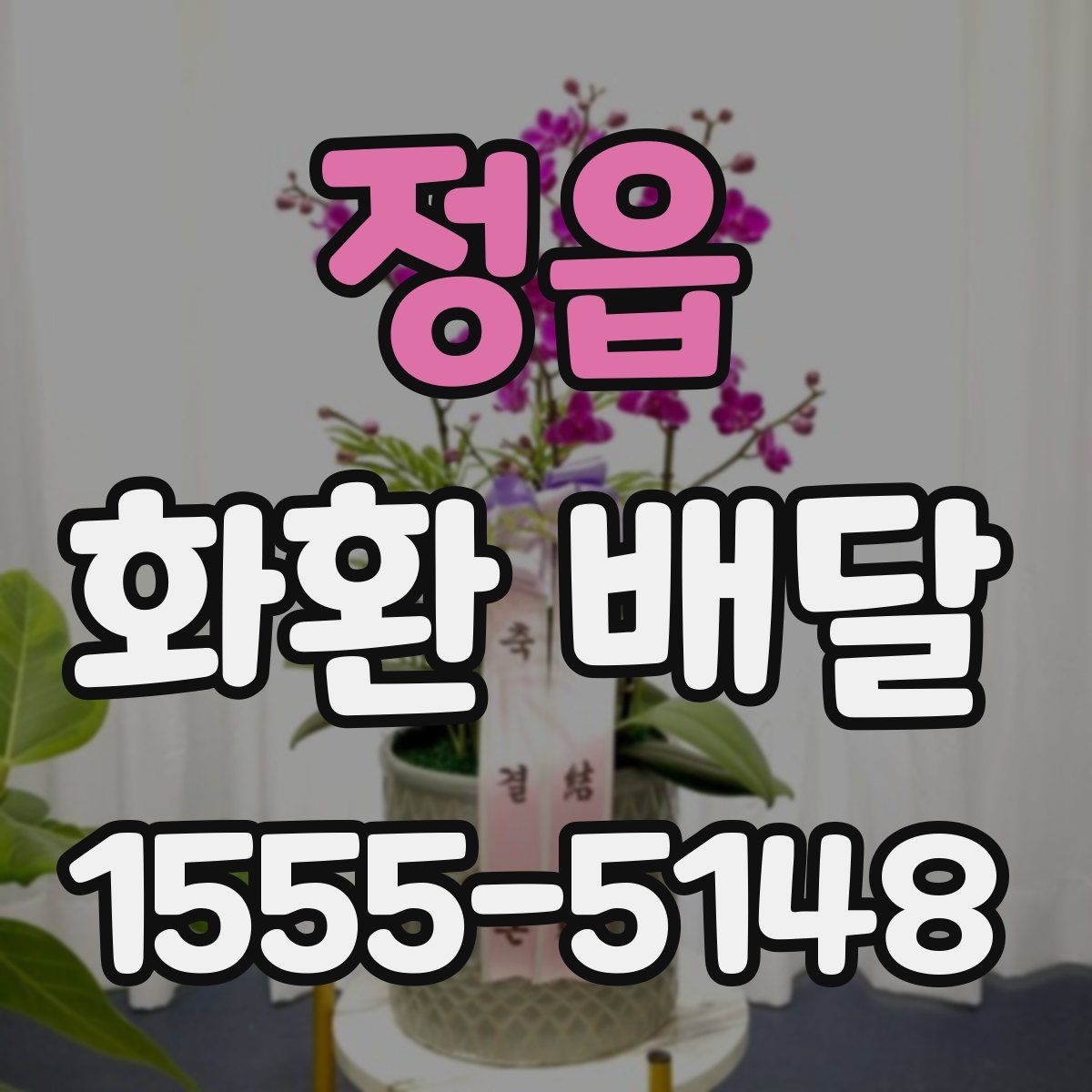 정읍 화환 배달