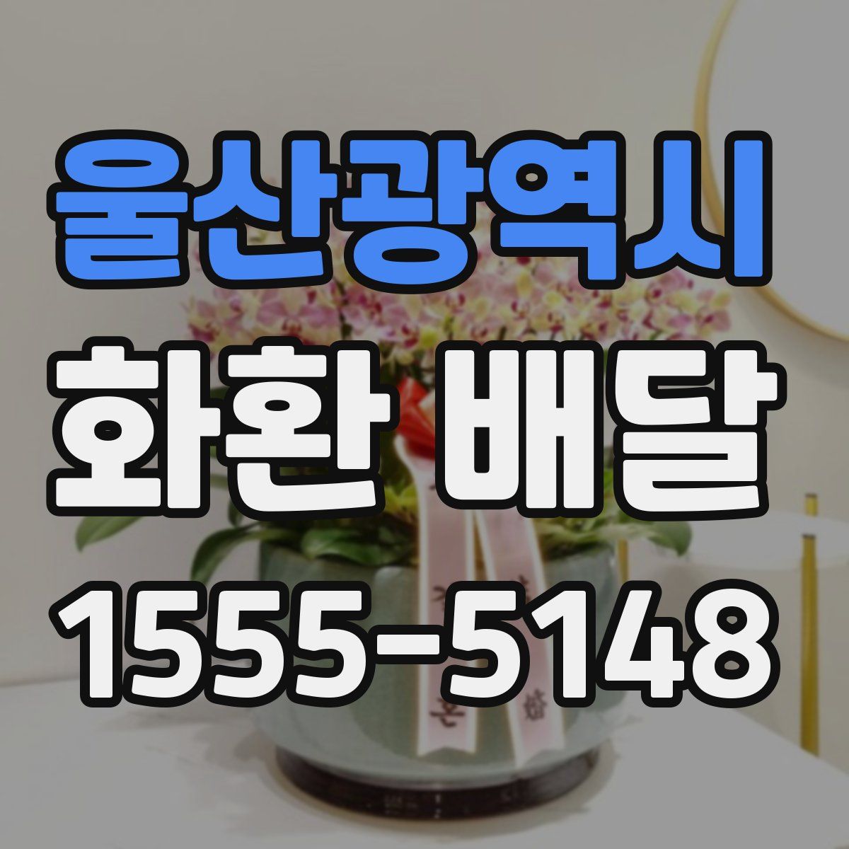 울산광역시 화환 배달