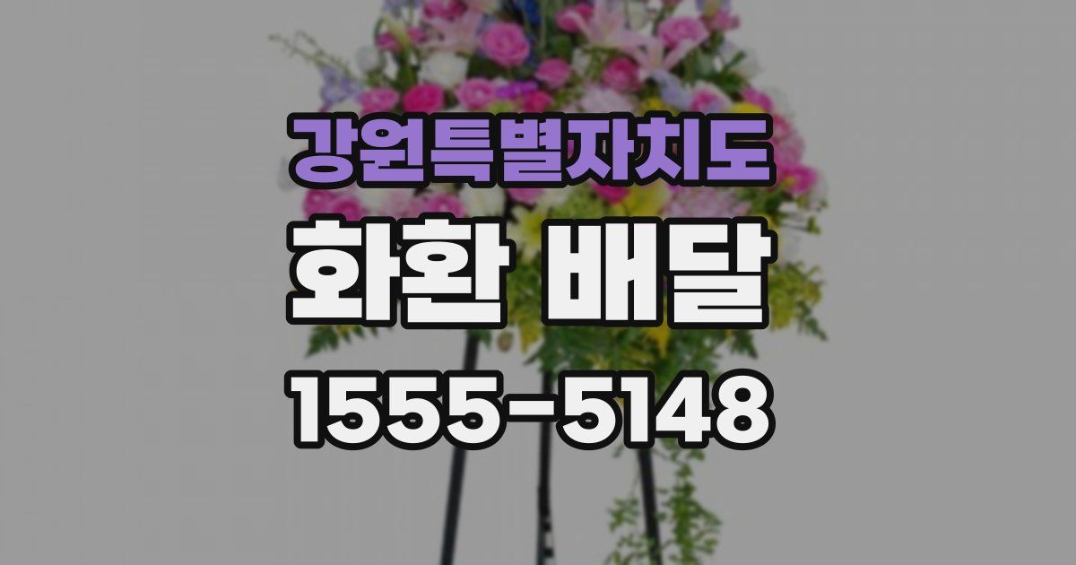 강원특별자치도 화환 배달