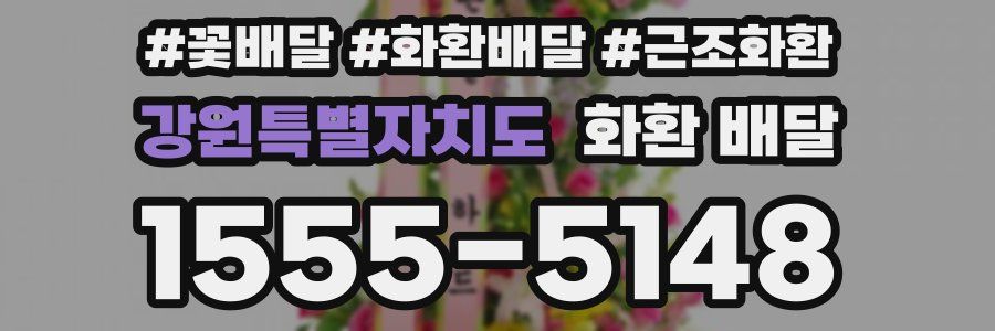 강원특별자치도 화환 배달